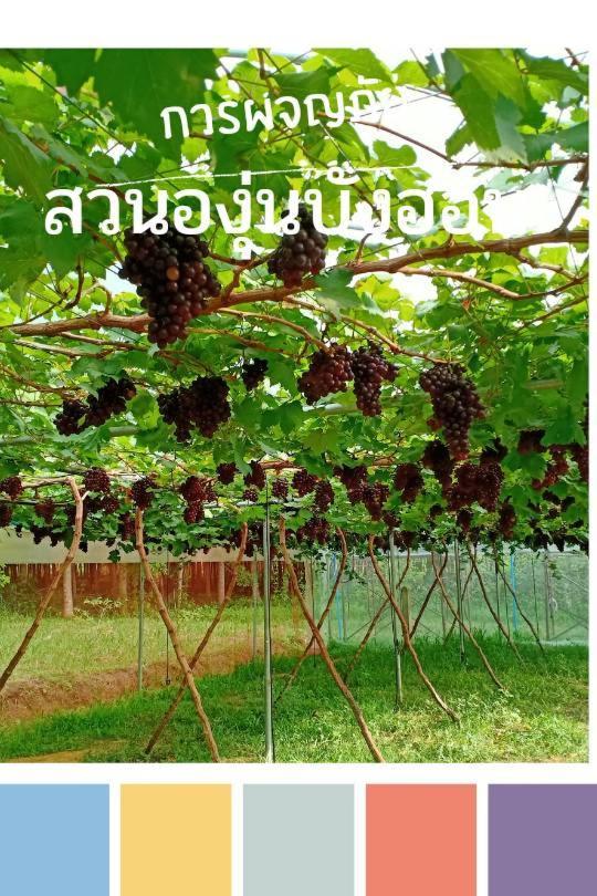 Bang Hon Homestay Ko Yao Noi Luaran gambar