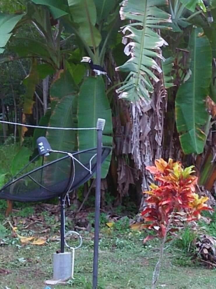 Bang Hon Homestay Ko Yao Noi Luaran gambar